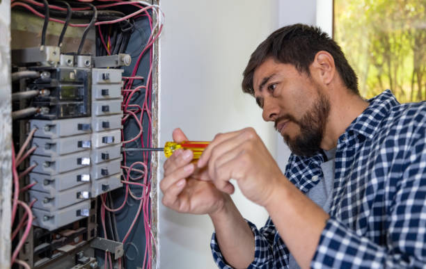 Best Electrical System Inspection  in Thoreau, NM